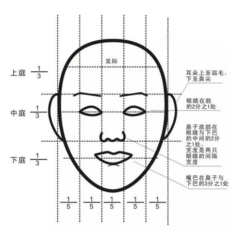 眉峰高男人